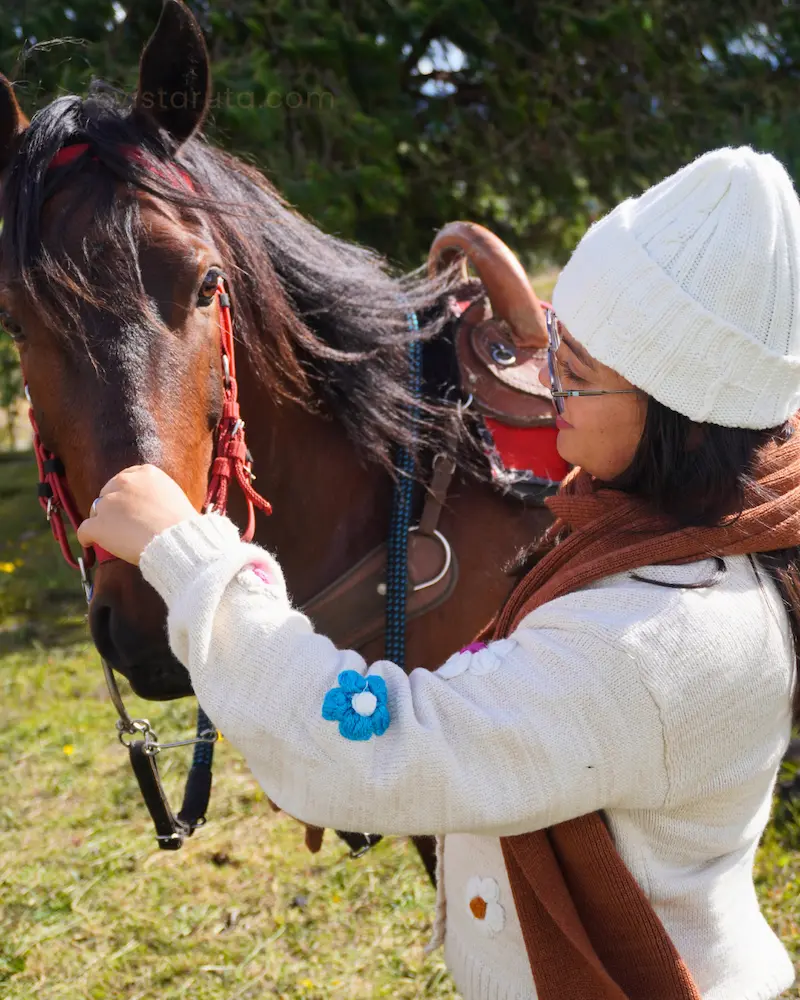 Cabalgata