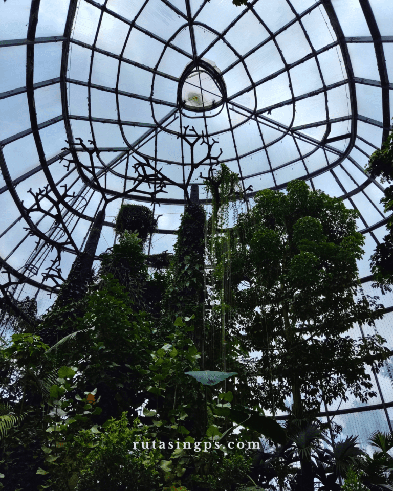 Jardín Botánico de Bogotá: Un Parche Brutal Lejos del Ruido