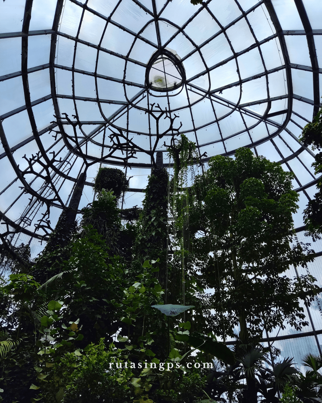 Jardín Botánico de Bogotá: Un Parche Brutal Lejos del Ruido