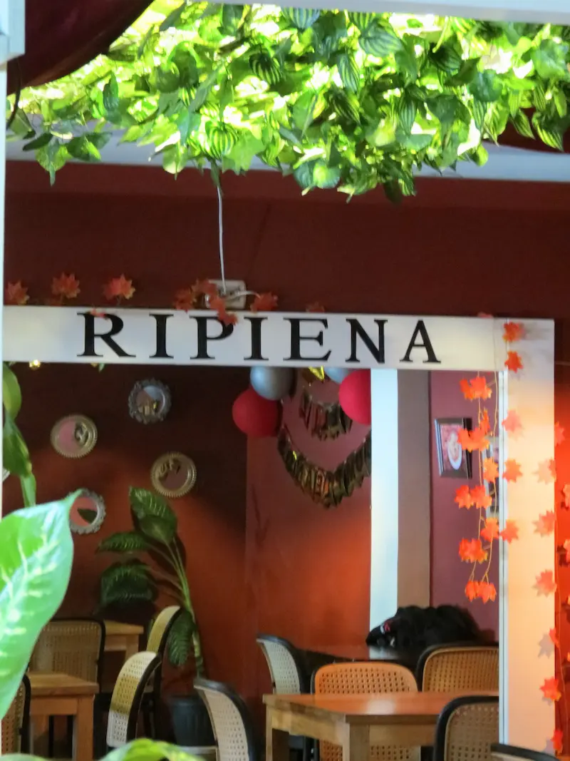 Planta Alta