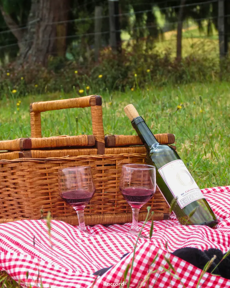 Picnic en Guatavita: vino y montañas en Kajú Mirador